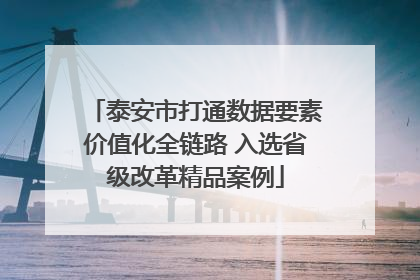 泰安市打通数据要素价值化全链路 入选省级改革精品案例